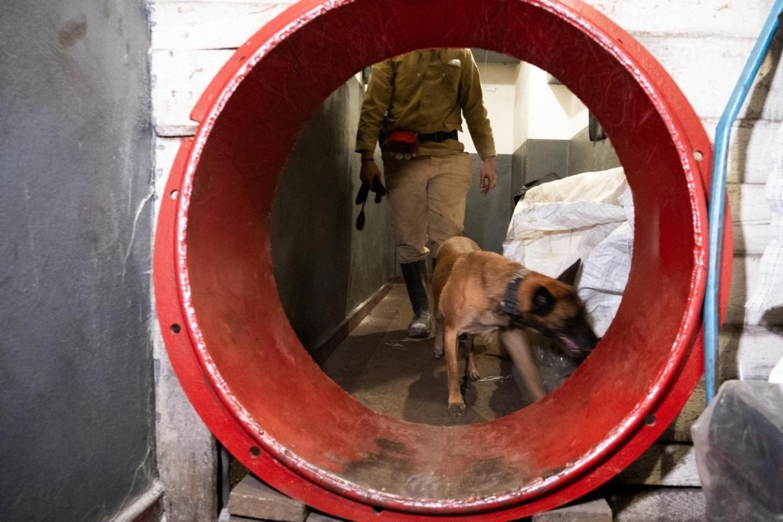 Zdjęcie w galerii na portalu naszwodzislaw.com: Szkolenie psów służbowych 1080 metrów pod ziemią wiadomości z regionu