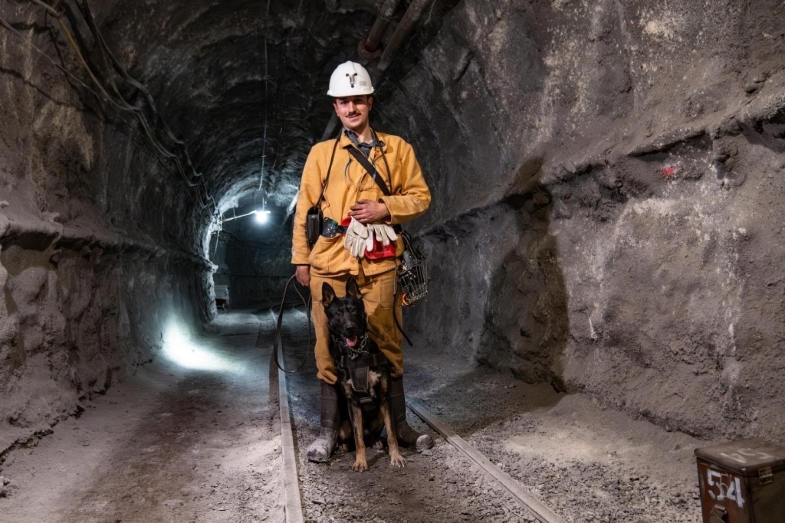 Zdjęcie w galerii na portalu naszwodzislaw.com: Szkolenie psów służbowych 1080 metrów pod ziemią wiadomości z regionu