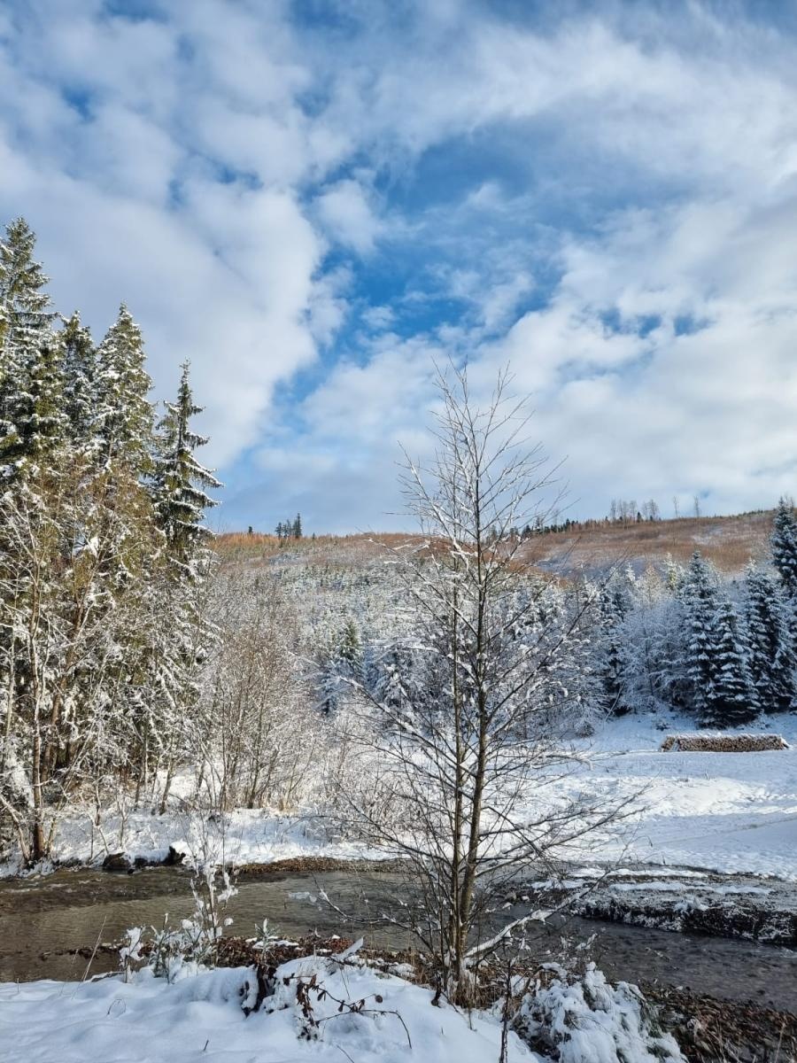 Zdjęcie w galerii na portalu naszwodzislaw.com: Warsztaty wyjazdowe zespołu Kokoszyczanki wiadomości z regionu