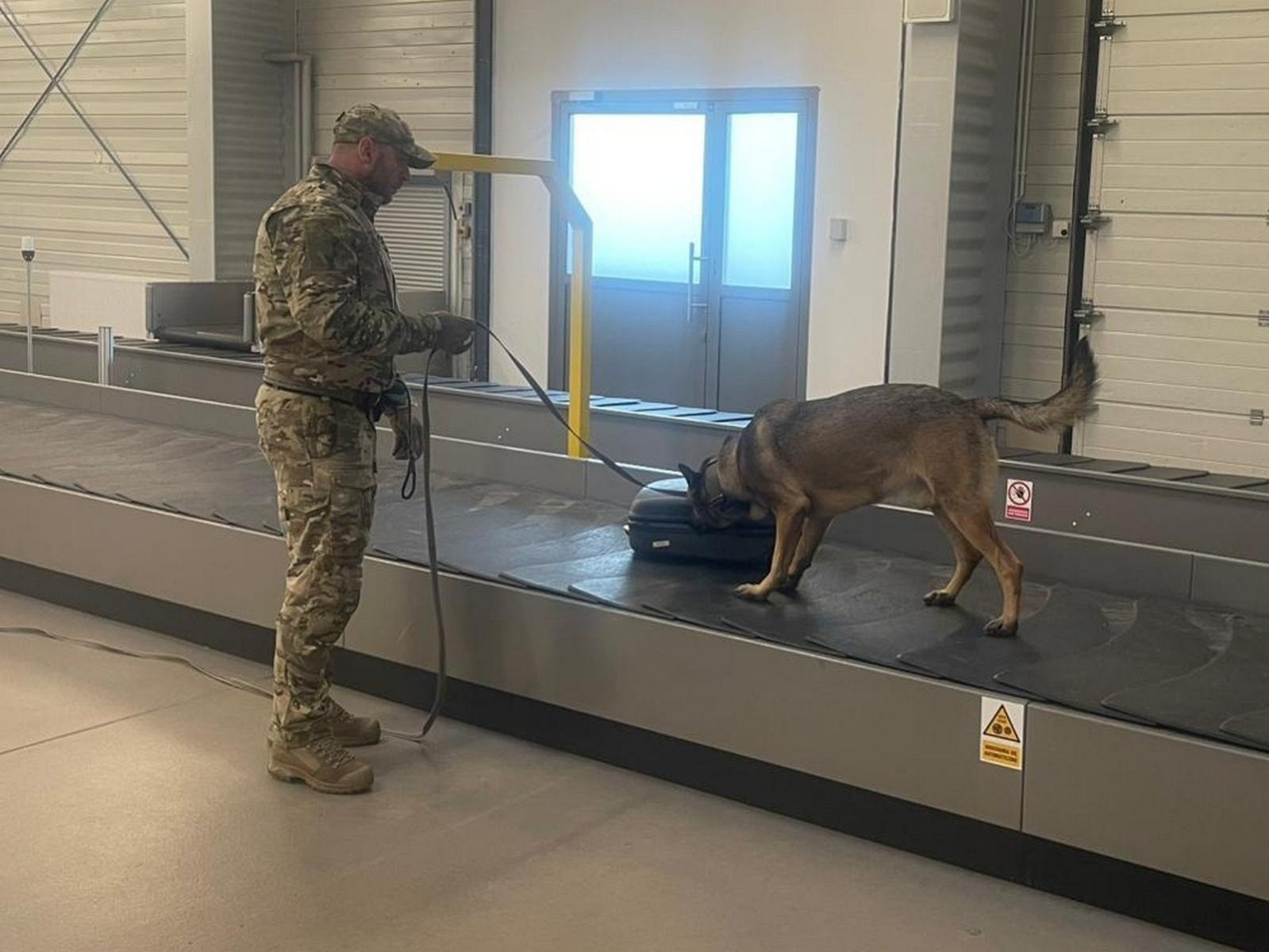 Zdjęcie w galerii na portalu naszwodzislaw.com: Czworonożni strażnicy graniczni, żołnierze i policjanci szkolili się w Chorzowie wiadomości z regionu