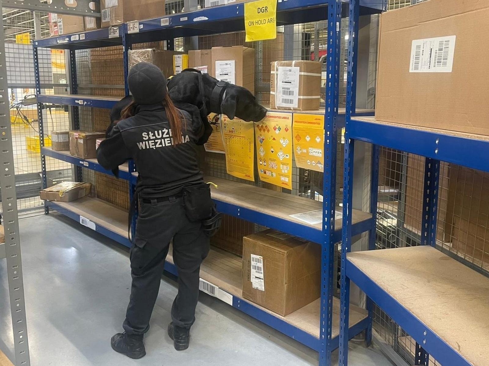 Zdjęcie w galerii na portalu naszwodzislaw.com: Czworonożni strażnicy graniczni, żołnierze i policjanci szkolili się w Chorzowie wiadomości z regionu