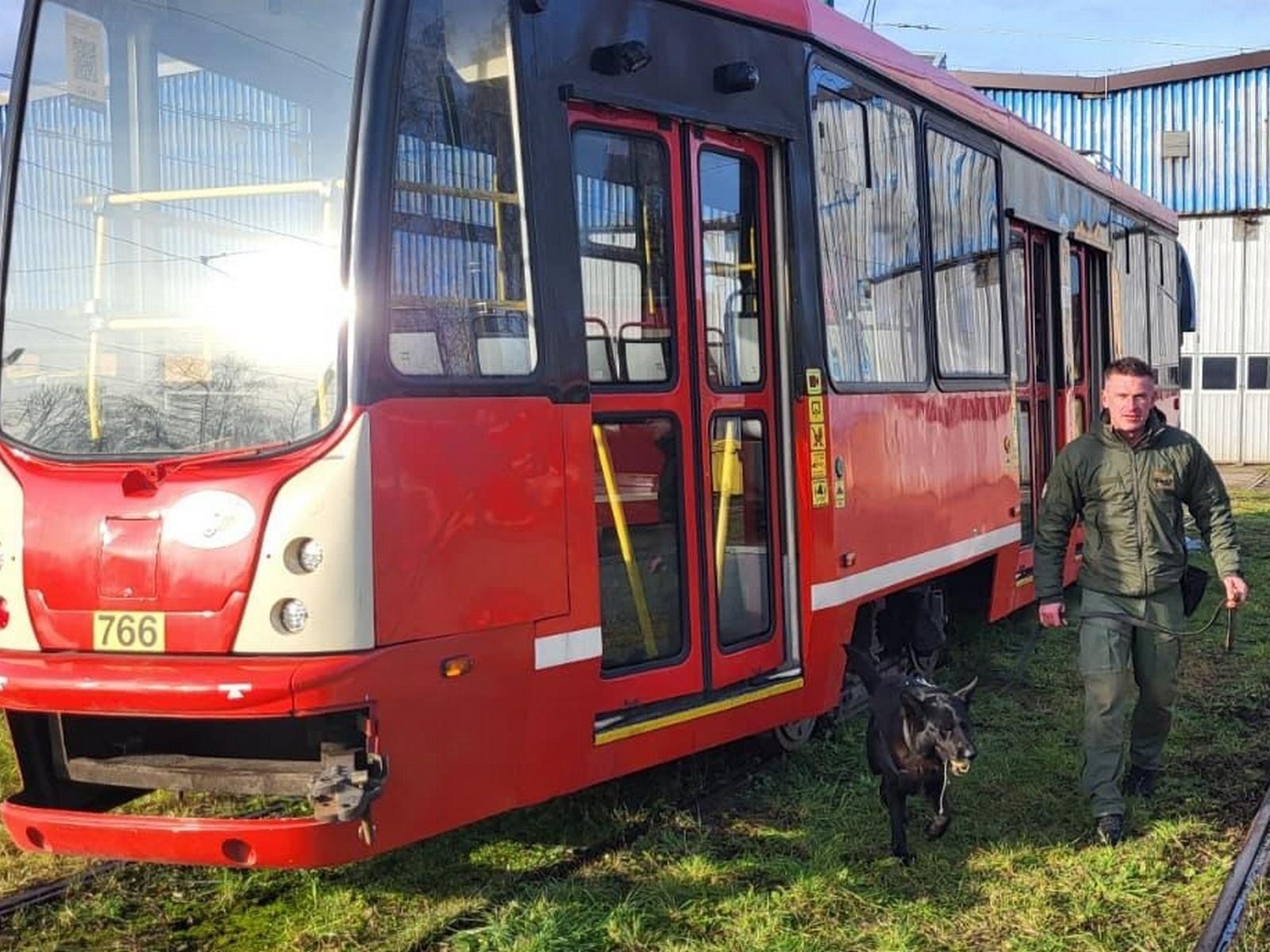 Zdjęcie w galerii na portalu naszwodzislaw.com: Czworonożni strażnicy graniczni, żołnierze i policjanci szkolili się w Chorzowie wiadomości z regionu