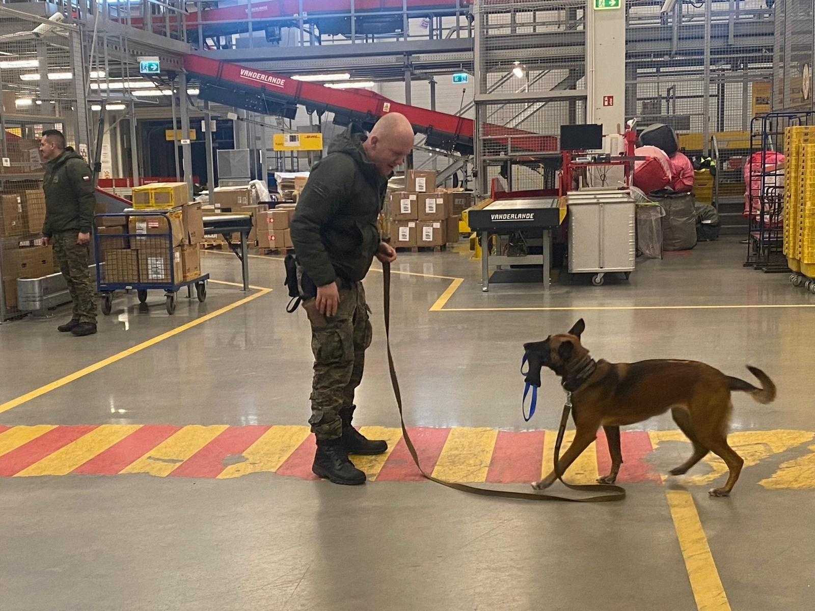 Zdjęcie w galerii na portalu naszwodzislaw.com: Czworonożni strażnicy graniczni, żołnierze i policjanci szkolili się w Chorzowie wiadomości z regionu