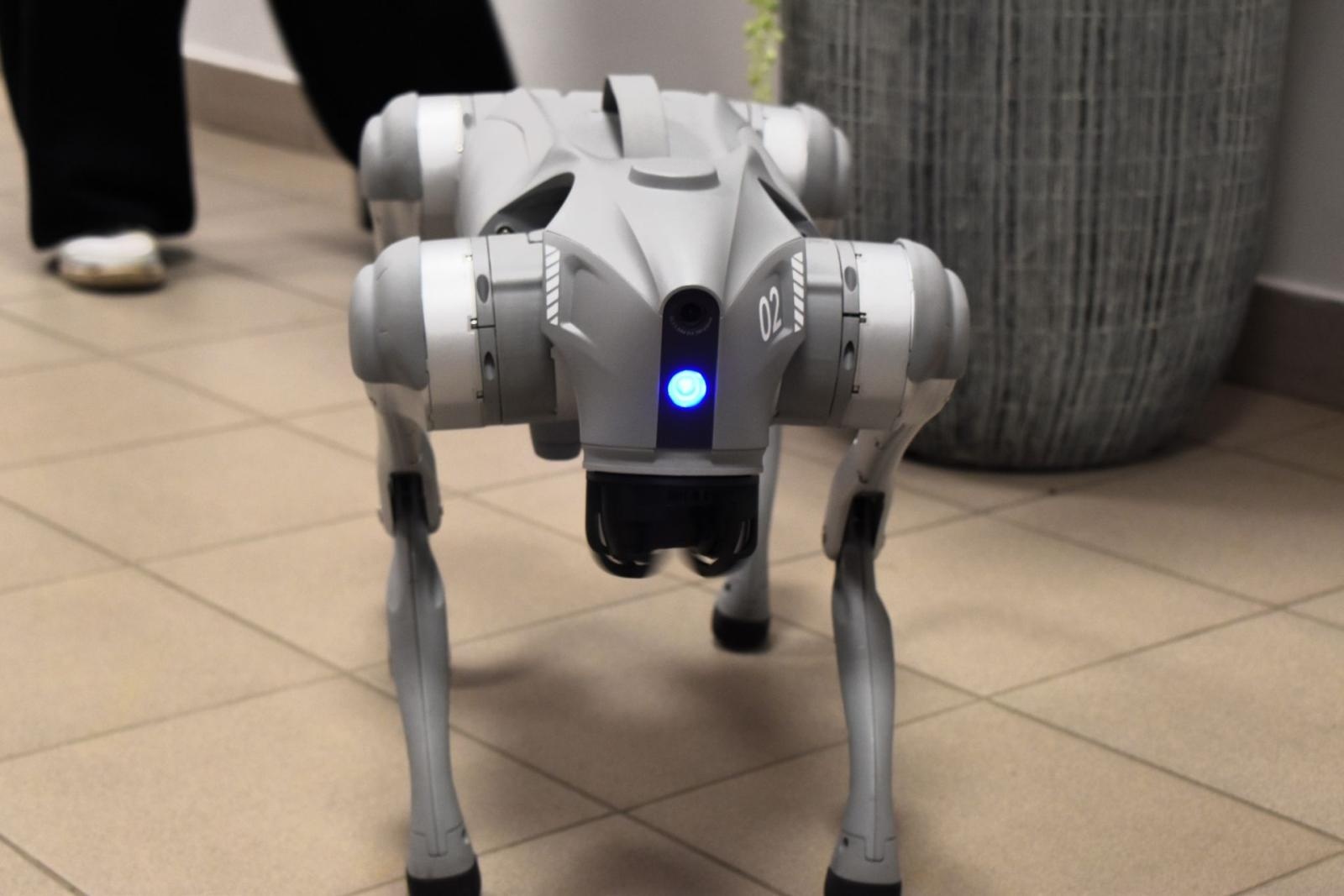 Zdjęcie w galerii na portalu naszwodzislaw.com: Barbórkowe zwiedzanie sztolni w nowoczesnym wydaniu [FOTO] wiadomości z regionu