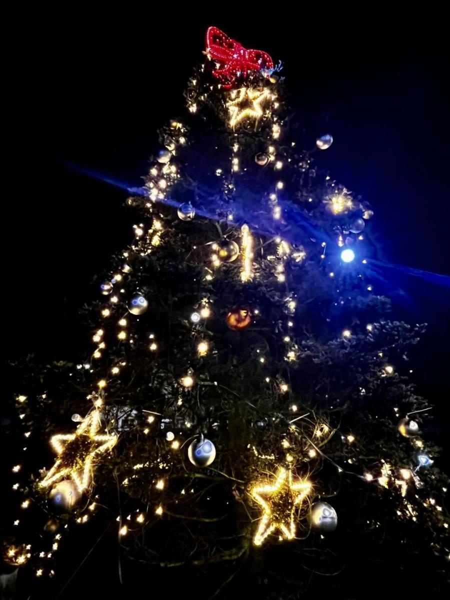 Zdjęcie w galerii na portalu naszwodzislaw.com: Ruszył Jarmark Świąteczny w Radlinie [FOTO] wiadomości z regionu