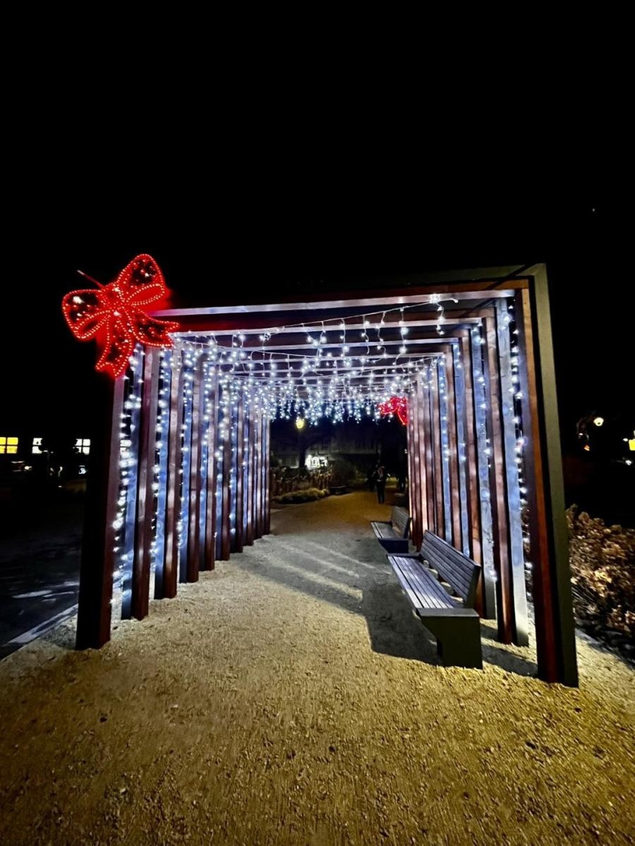 Zdjęcie w galerii na portalu naszwodzislaw.com: Ruszył Jarmark Świąteczny w Radlinie [FOTO] wiadomości z regionu