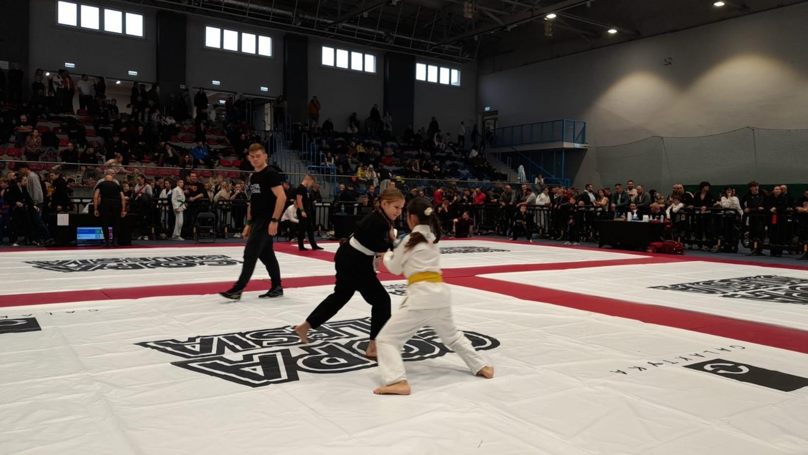 Zdjęcie w galerii na portalu naszwodzislaw.com: Sześć medali Octagon Team podczas Copa Silesia 11 w Gliwicach wiadomości z regionu