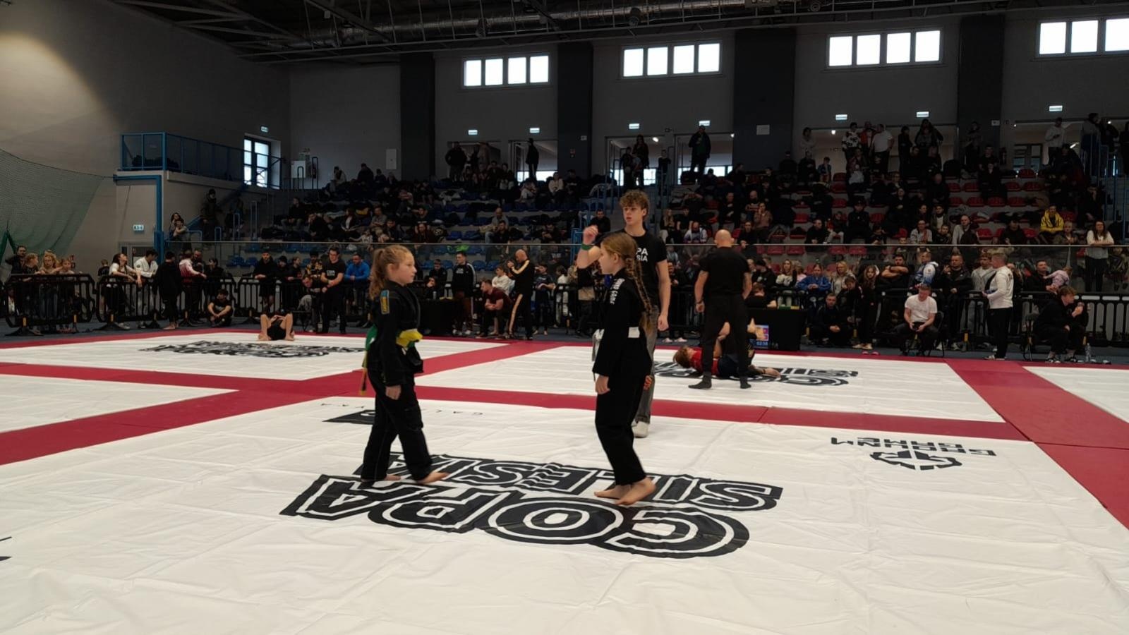 Zdjęcie w galerii na portalu naszwodzislaw.com: Sześć medali Octagon Team podczas Copa Silesia 11 w Gliwicach wiadomości z regionu