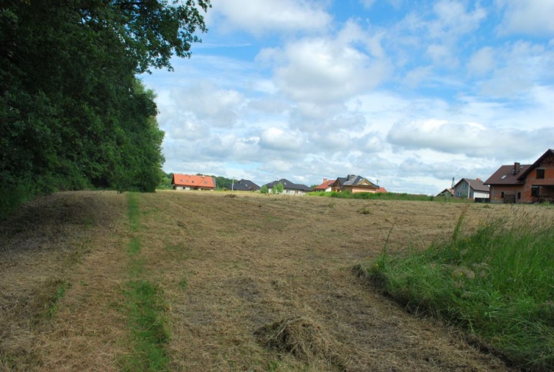 Zdjęcie w galerii na portalu naszwodzislaw.com: Miasto oferuje działki na Grodzisku wiadomości z regionu