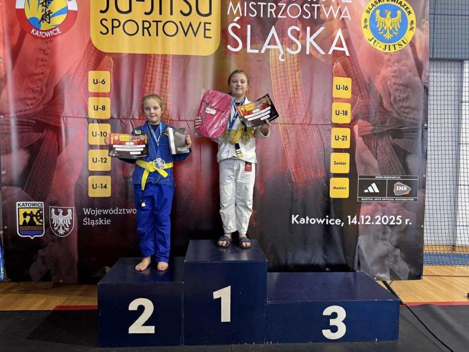 Zdjęcie w galerii na portalu naszwodzislaw.com: Mistrzostwa Śląska w jujitsu. Świetne wyniki zawodników Akademii Top Team wiadomości z regionu