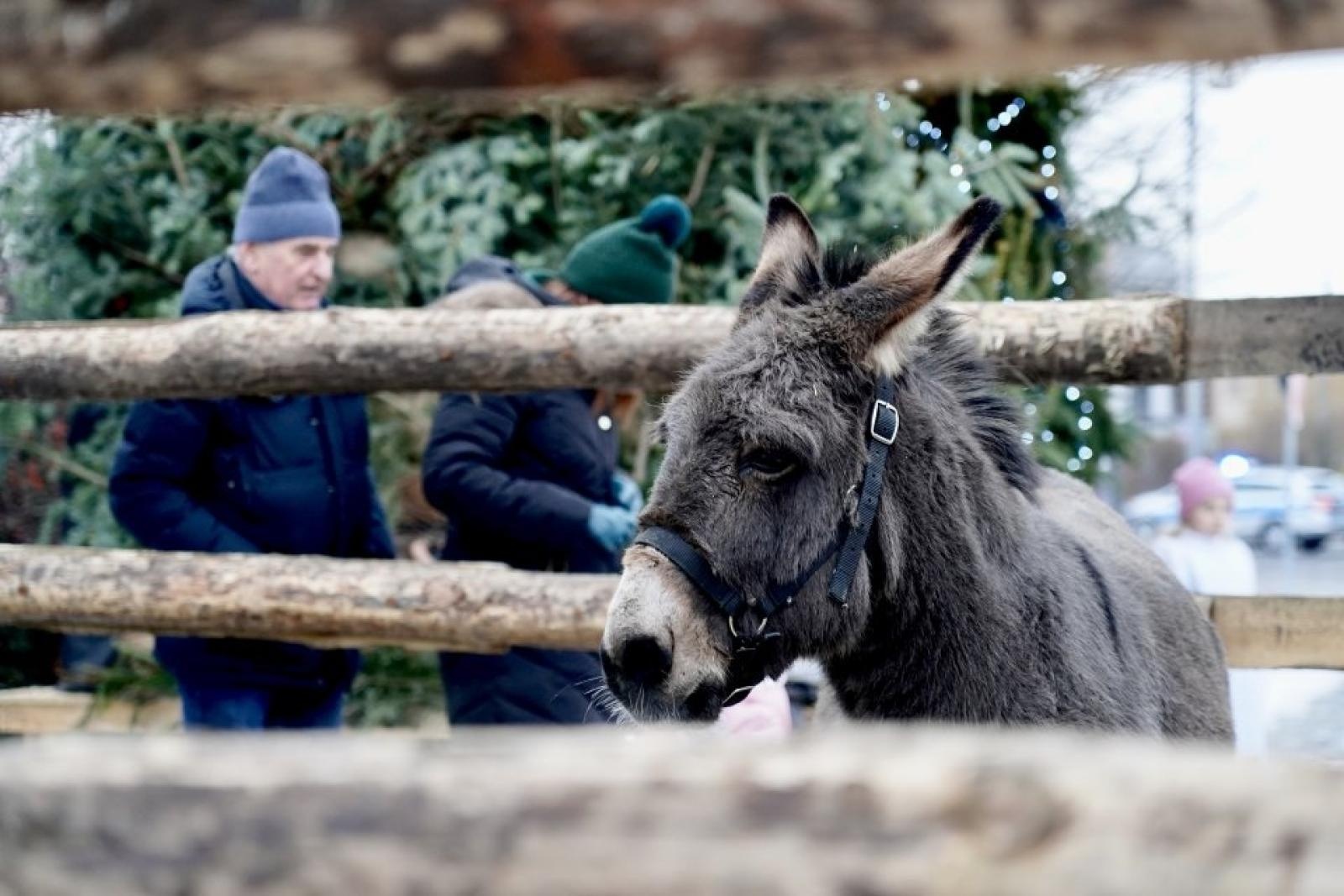 Zdjęcie w galerii na portalu naszwodzislaw.com: Orszak Trzech Króli ponownie zawitał do Rydułtów [FOTO] wiadomości z regionu