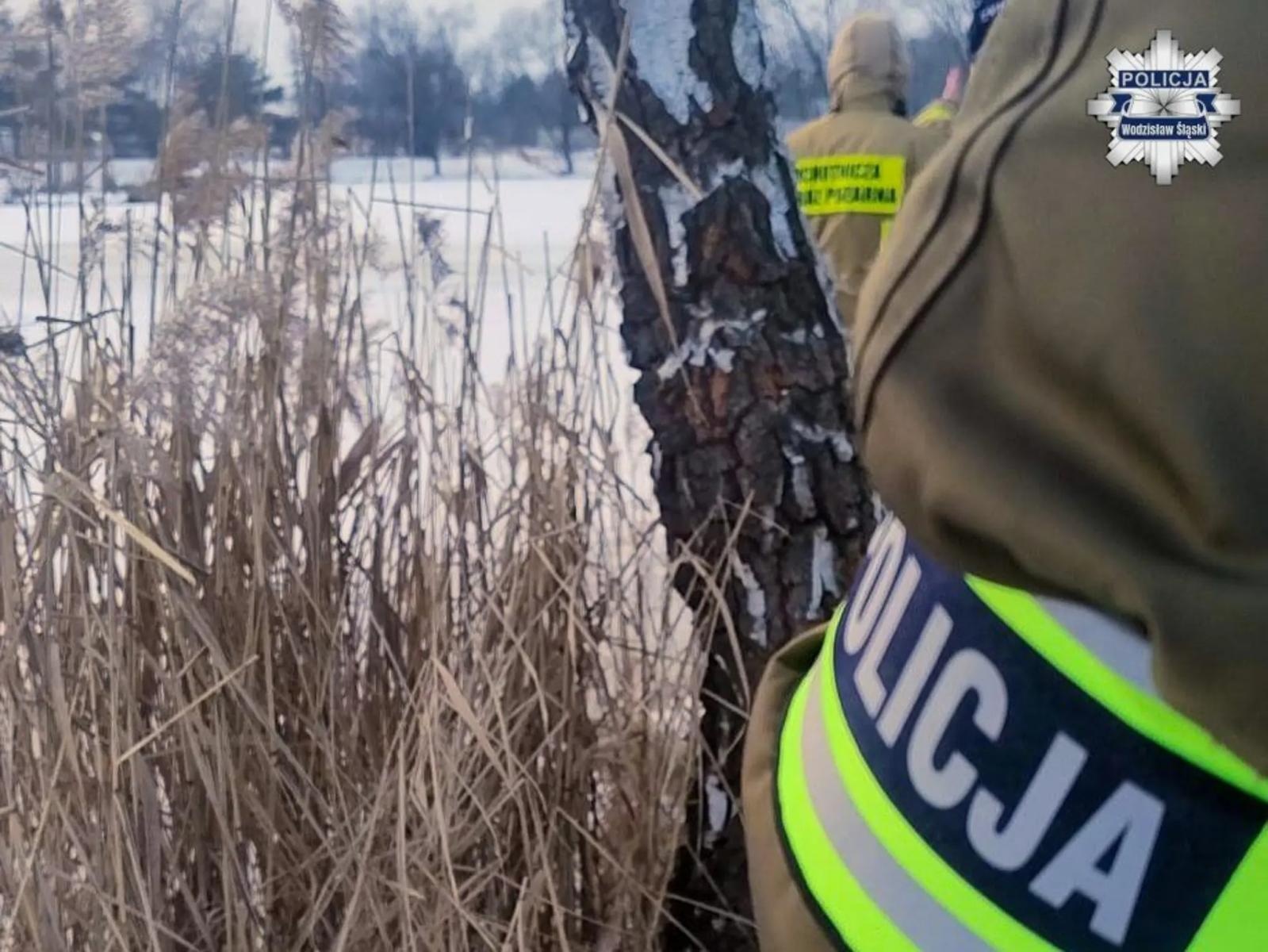 Zdjęcie w galerii na portalu naszwodzislaw.com: Ten film to nie dzieło AI. Dwaj mężczyźni za swe skrajnie nieodpowiedzialne zachowanie będą się tłumaczyli przed sądem wiadomości z regionu