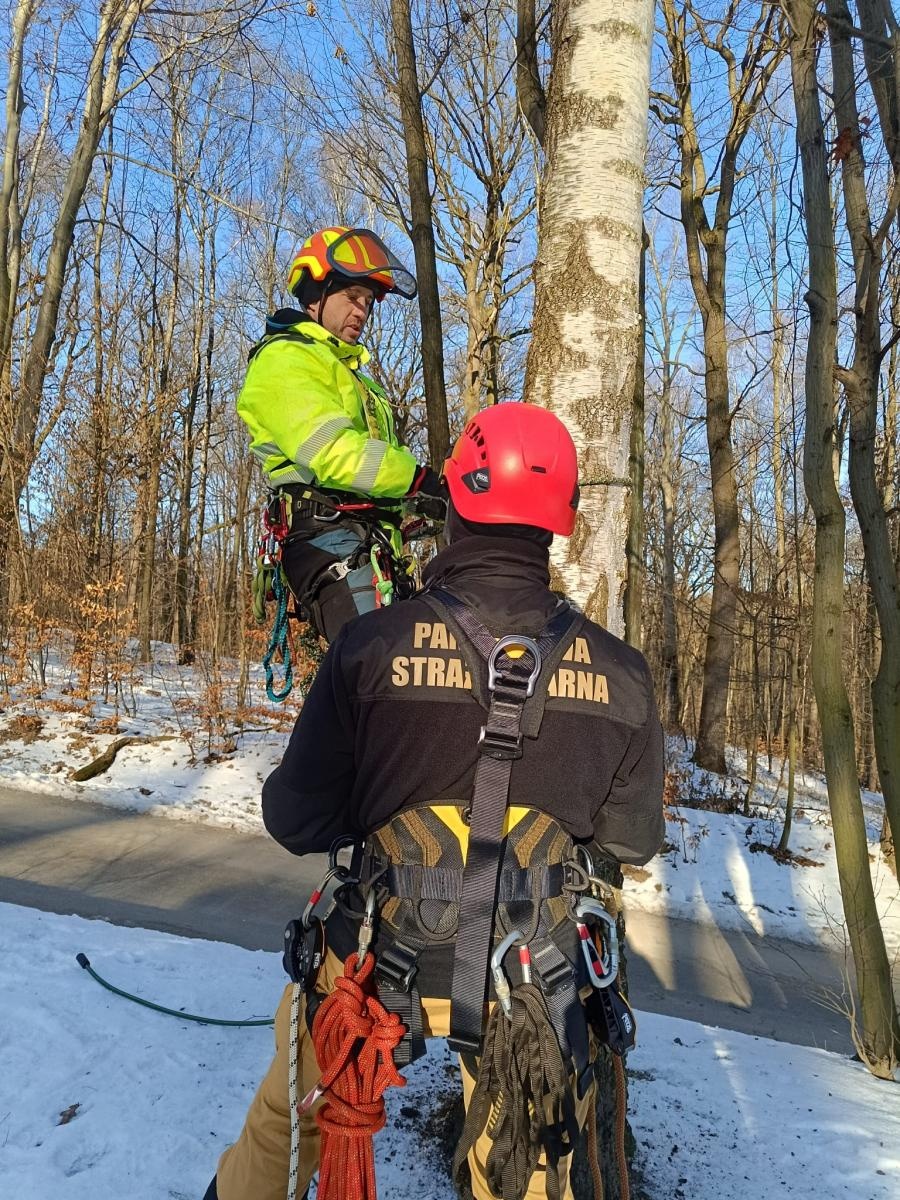 Zdjęcie w galerii na portalu naszwodzislaw.com: Ćwiczenia doskonalące z ratownictwa wysokościowego w Wodzisławiu Śląskim wiadomości z regionu
