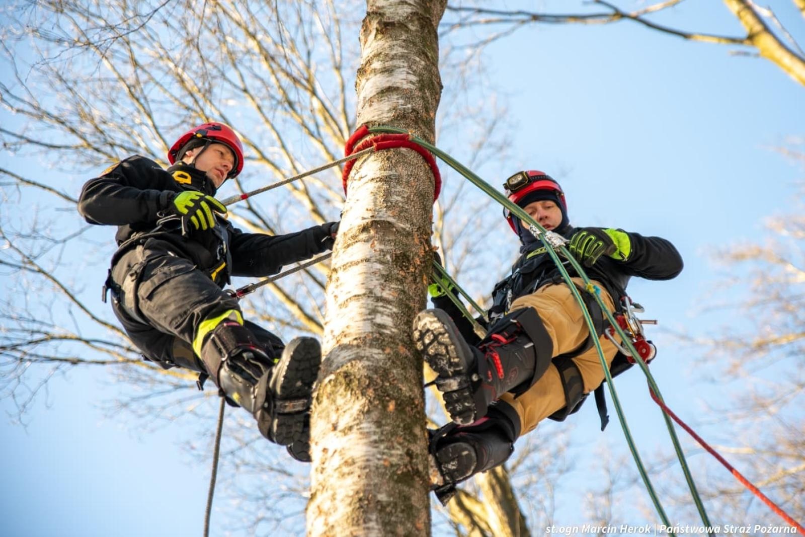 Zdjęcie w galerii na portalu naszwodzislaw.com: Ćwiczenia doskonalące z ratownictwa wysokościowego w Wodzisławiu Śląskim wiadomości z regionu