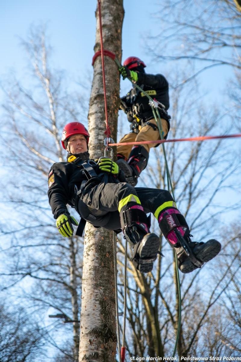 Zdjęcie w galerii na portalu naszwodzislaw.com: Ćwiczenia doskonalące z ratownictwa wysokościowego w Wodzisławiu Śląskim wiadomości z regionu