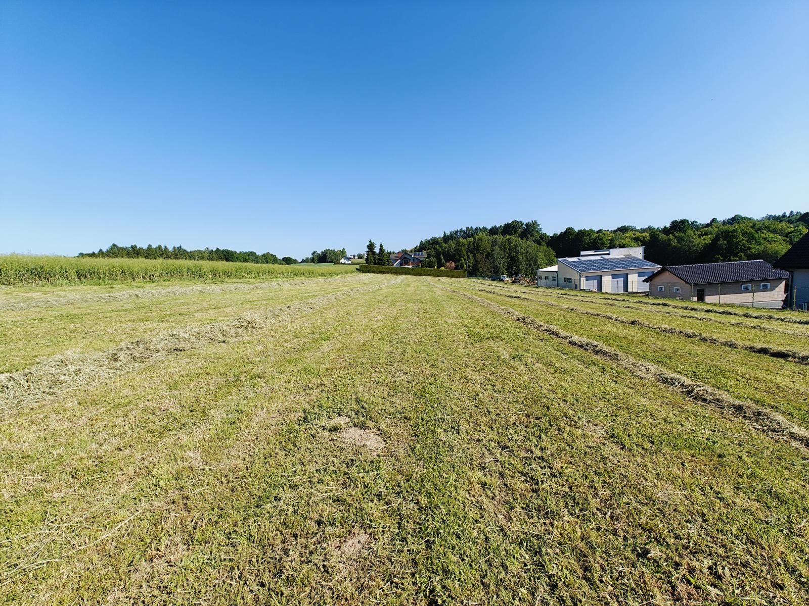 Zdjęcie w galerii na portalu naszwodzislaw.com: Mszana: Te nieruchomości są na sprzedaż wiadomości z regionu