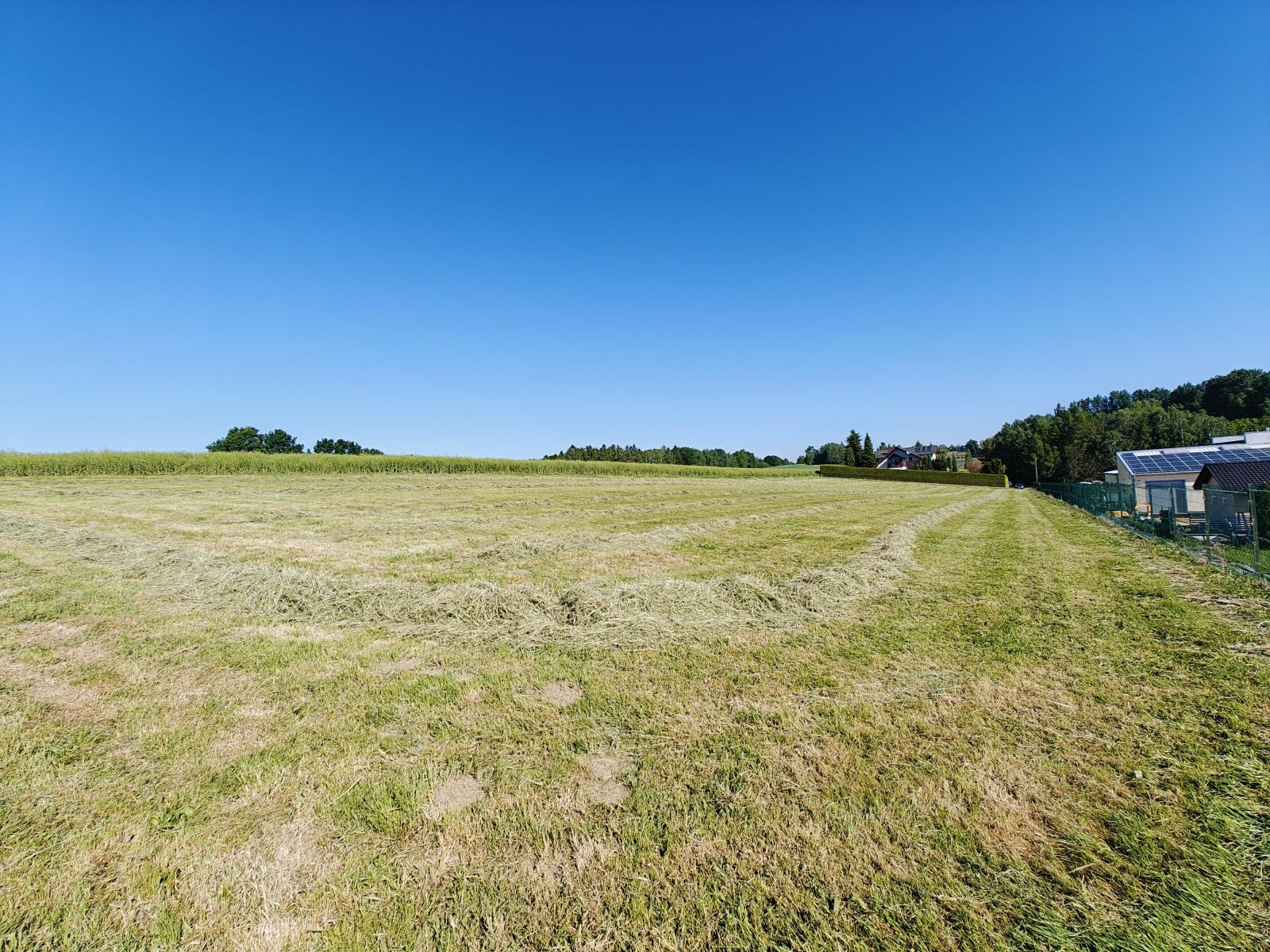 Zdjęcie w galerii na portalu naszwodzislaw.com: Mszana: Te nieruchomości są na sprzedaż wiadomości z regionu