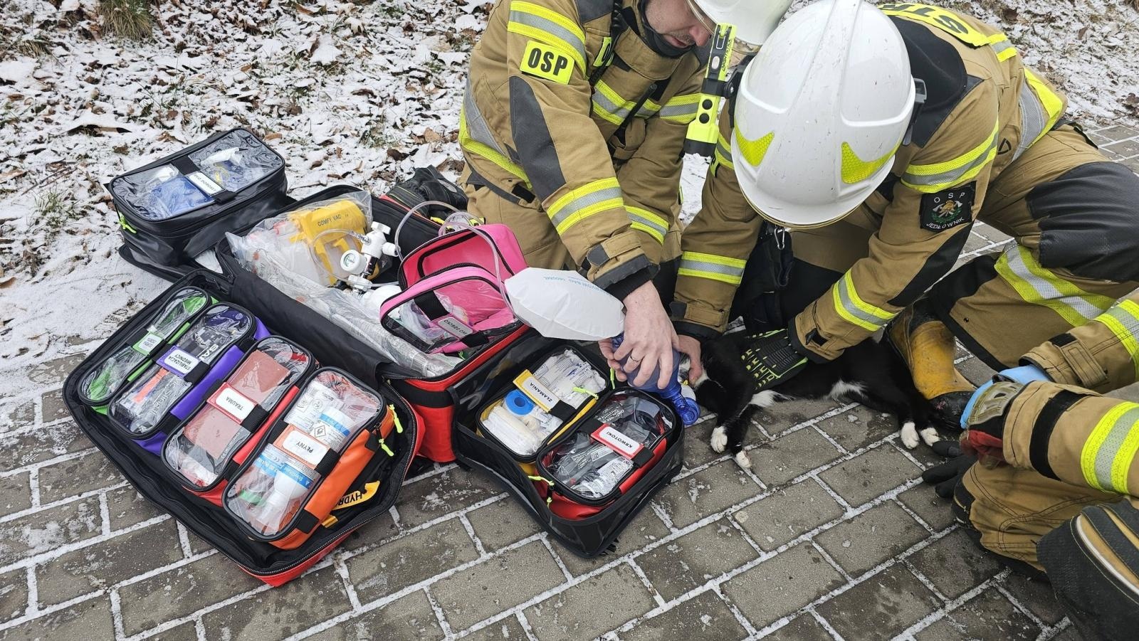 Zdjęcie w galerii na portalu naszwodzislaw.com: Pożar domu jednorodzinnego przy ul. Radlińskiej w Wodzisławiu Śląskim wiadomości z regionu