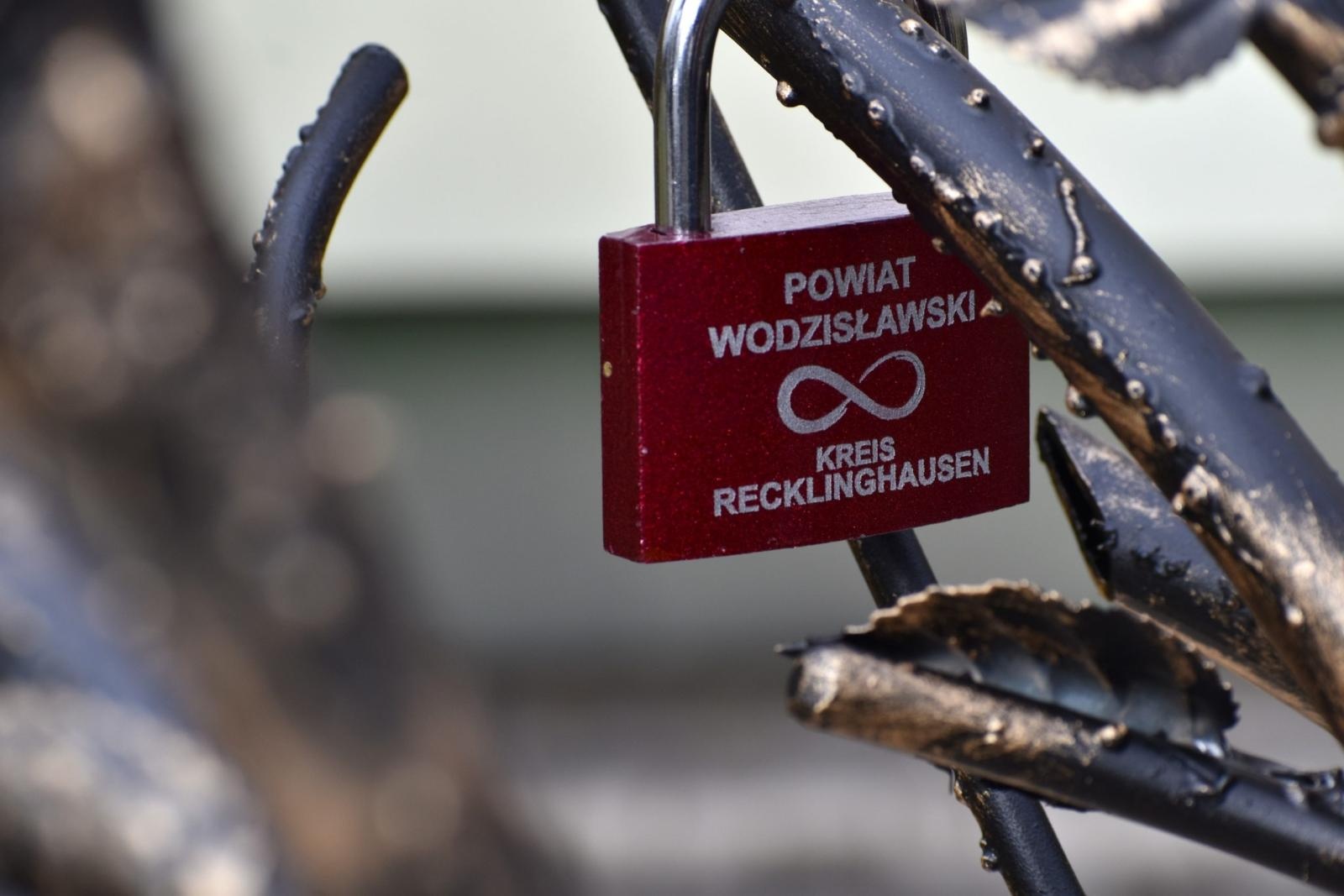 Zdjęcie w galerii na portalu naszwodzislaw.com: Drzewo, które zapuściło korzenie w relacjach. Symbol wspólnoty w wodzisławskim Tischnerze wiadomości z regionu