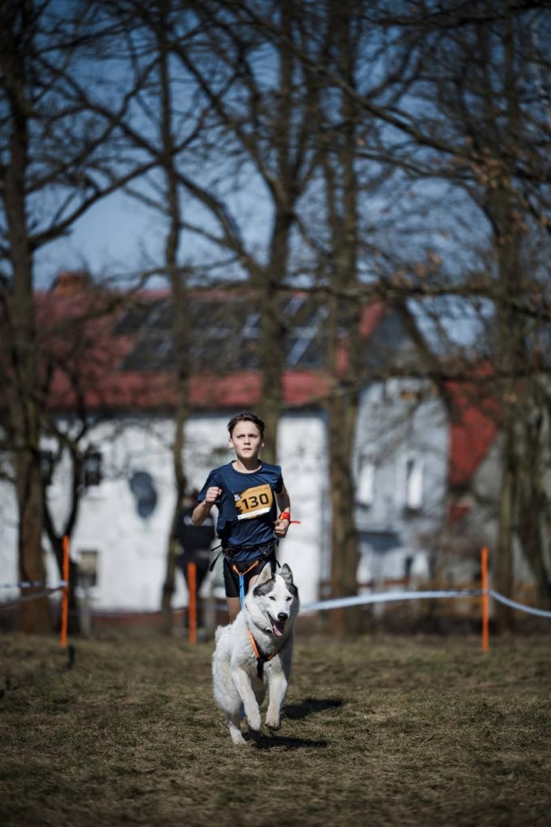 Zdjęcie w galerii na portalu naszwodzislaw.com: Sportowe emocje, psy i adrenalina – Dog Adventure Sprint Race wiadomości z regionu