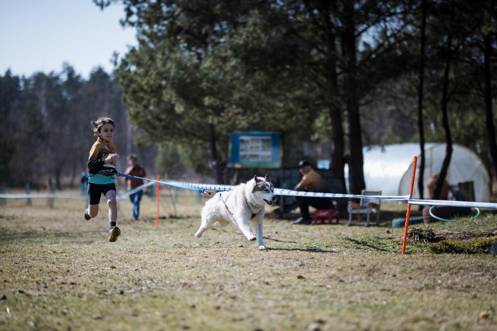Zdjęcie w galerii na portalu naszwodzislaw.com: Sportowe emocje, psy i adrenalina – Dog Adventure Sprint Race wiadomości z regionu
