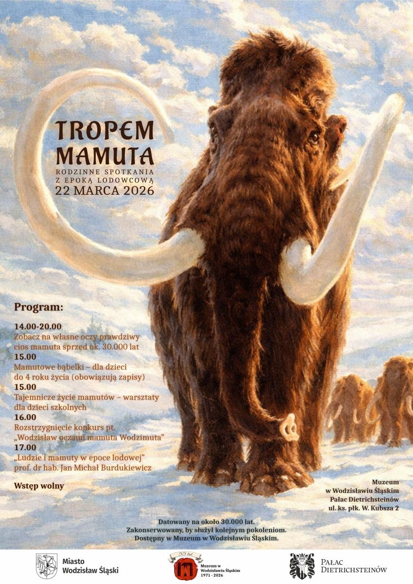 Zdjęcie w galerii na portalu naszwodzislaw.com: Cios mamuta wraca do Muzeum  wiadomości z regionu