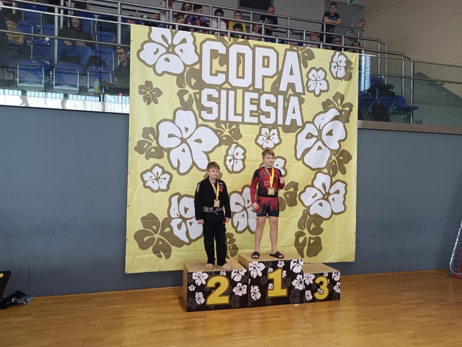 Zdjęcie w galerii na portalu naszwodzislaw.com: 18 medali dla KS Stein Academy. Rydułtowianie błyszczeli w Gliwicach wiadomości z regionu