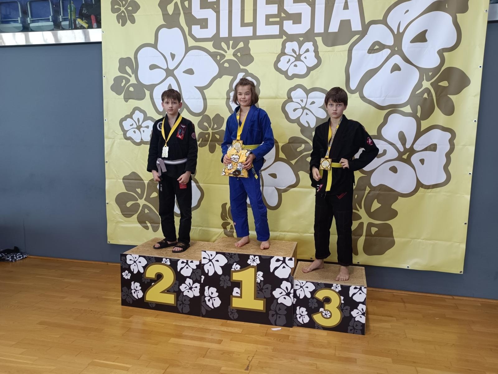 Zdjęcie w galerii na portalu naszwodzislaw.com: 18 medali dla KS Stein Academy. Rydułtowianie błyszczeli w Gliwicach wiadomości z regionu