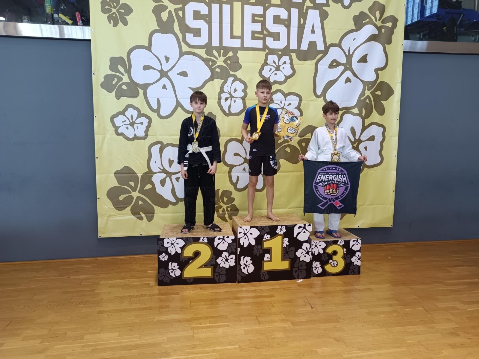 Zdjęcie w galerii na portalu naszwodzislaw.com: 18 medali dla KS Stein Academy. Rydułtowianie błyszczeli w Gliwicach wiadomości z regionu