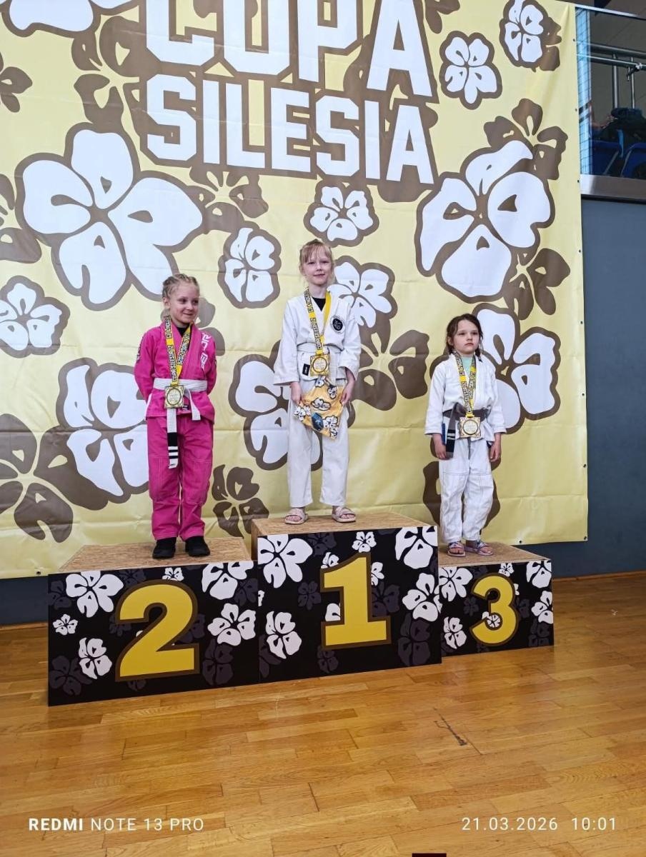 Zdjęcie w galerii na portalu naszwodzislaw.com: 18 medali dla KS Stein Academy. Rydułtowianie błyszczeli w Gliwicach wiadomości z regionu
