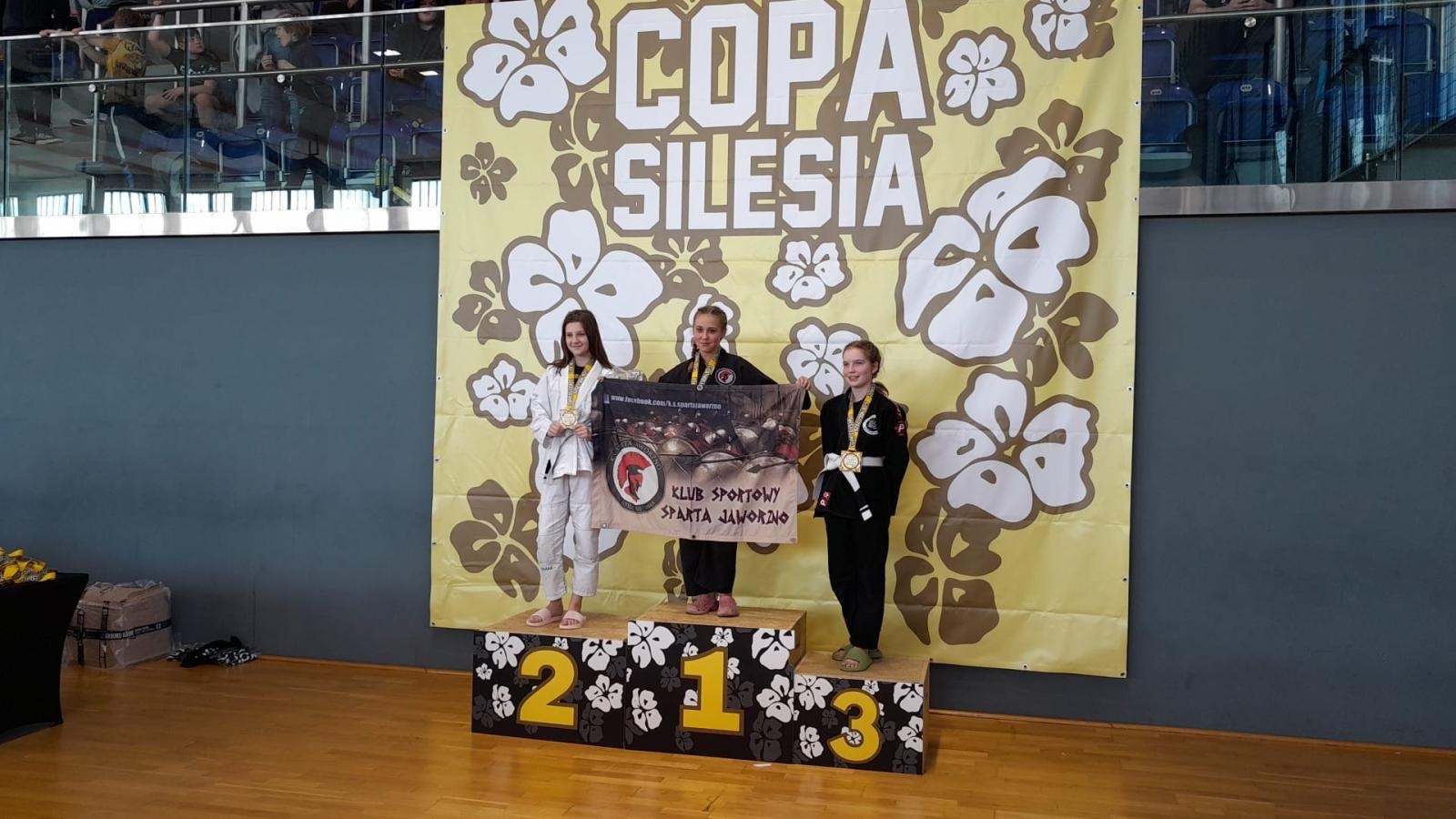 Zdjęcie w galerii na portalu naszwodzislaw.com: Skuteczni na macie. Octagon Team wraca z medalami z Copa Silesia wiadomości z regionu