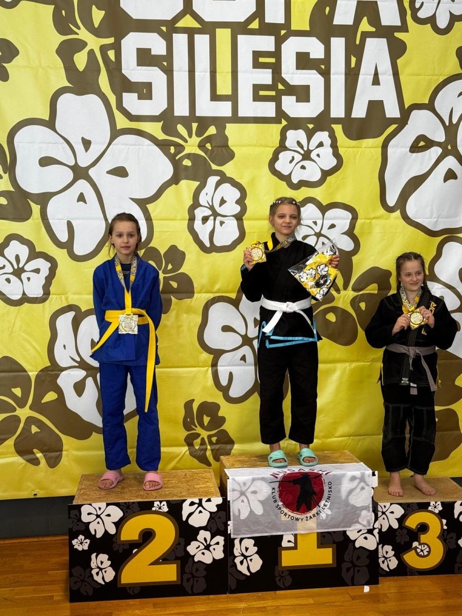 Zdjęcie w galerii na portalu naszwodzislaw.com: Skuteczni na macie. Octagon Team wraca z medalami z Copa Silesia wiadomości z regionu