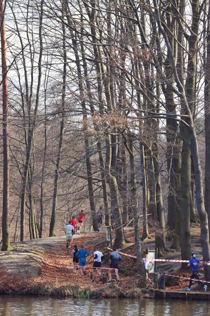 Zdjęcie w galerii na portalu naszwodzislaw.com: Blisko 300 biegaczy na starcie. Błękitna Wstęga Balatonu przyciągnęła tłumy [FOTO] wiadomości z regionu