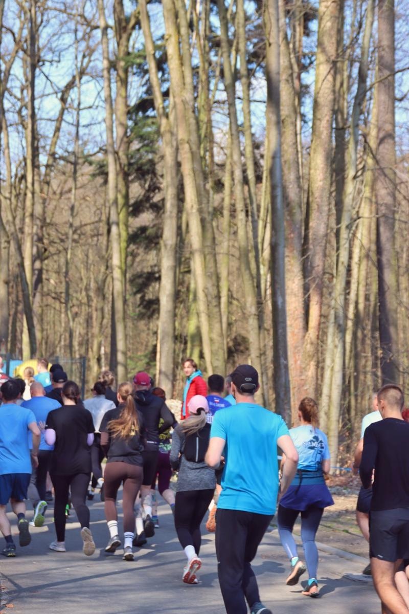 Zdjęcie w galerii na portalu naszwodzislaw.com: Blisko 300 biegaczy na starcie. Błękitna Wstęga Balatonu przyciągnęła tłumy [FOTO] wiadomości z regionu