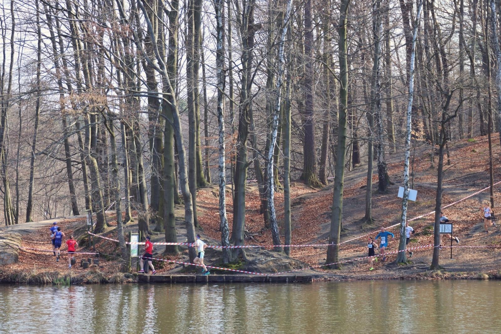 Zdjęcie w galerii na portalu naszwodzislaw.com: Blisko 300 biegaczy na starcie. Błękitna Wstęga Balatonu przyciągnęła tłumy [FOTO] wiadomości z regionu