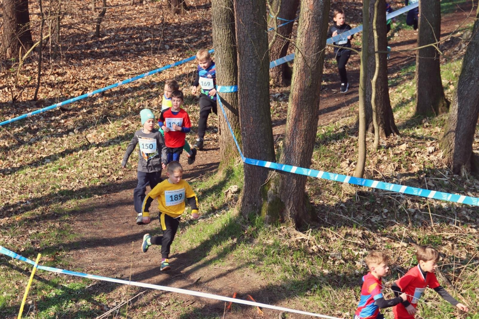 Zdjęcie w galerii na portalu naszwodzislaw.com: Blisko 300 biegaczy na starcie. Błękitna Wstęga Balatonu przyciągnęła tłumy [FOTO] wiadomości z regionu