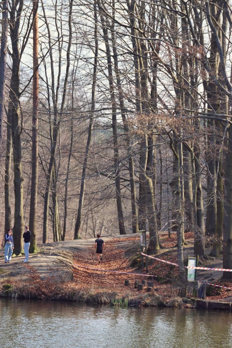 Zdjęcie w galerii na portalu naszwodzislaw.com: Blisko 300 biegaczy na starcie. Błękitna Wstęga Balatonu przyciągnęła tłumy [FOTO] wiadomości z regionu