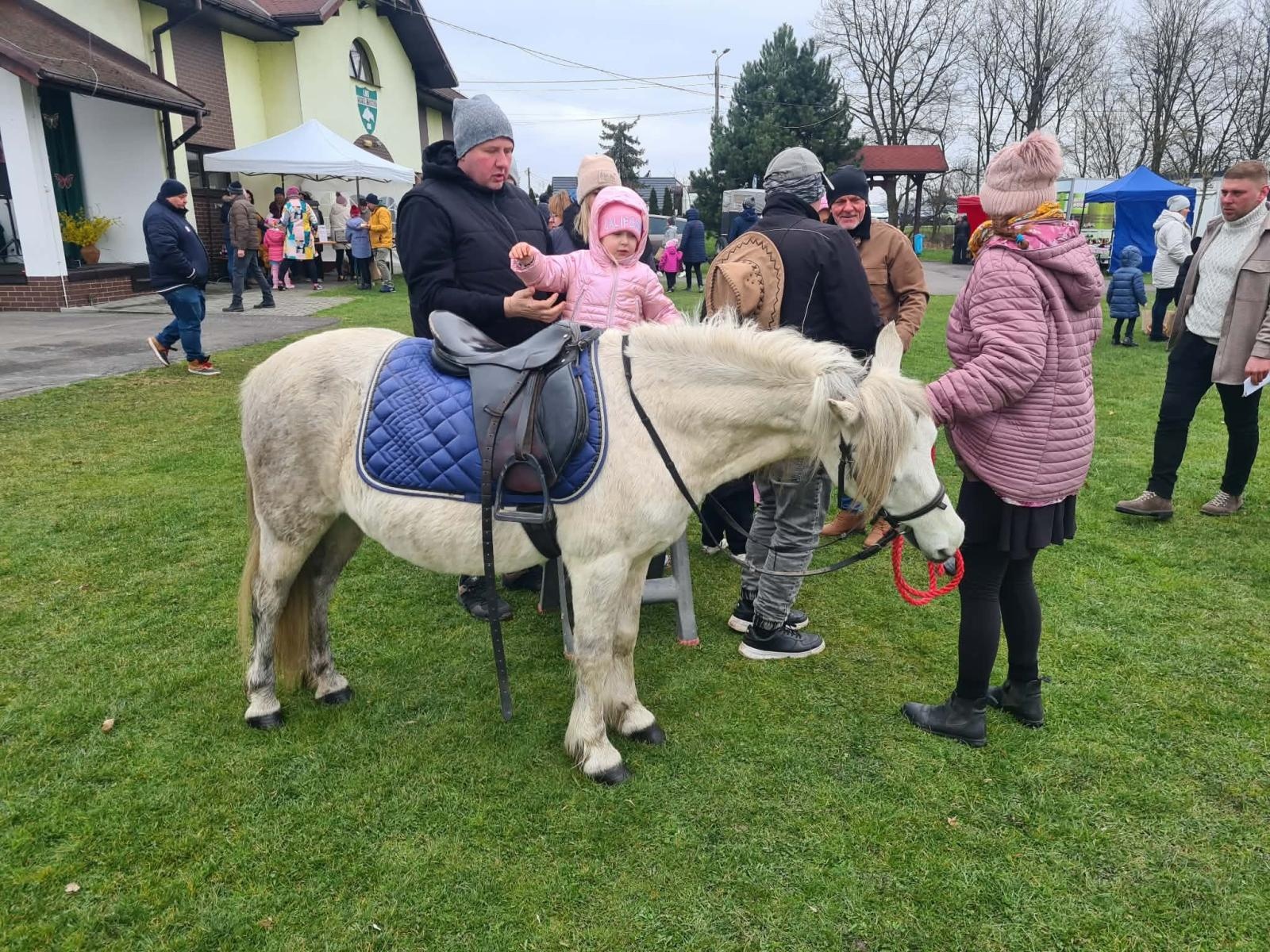Zdjęcie w galerii na portalu naszwodzislaw.com: Hazok znów przyciągnął tłumy. Ponad setka dzieci ruszyła na poszukiwania zajączka [FOTO] wiadomości z regionu