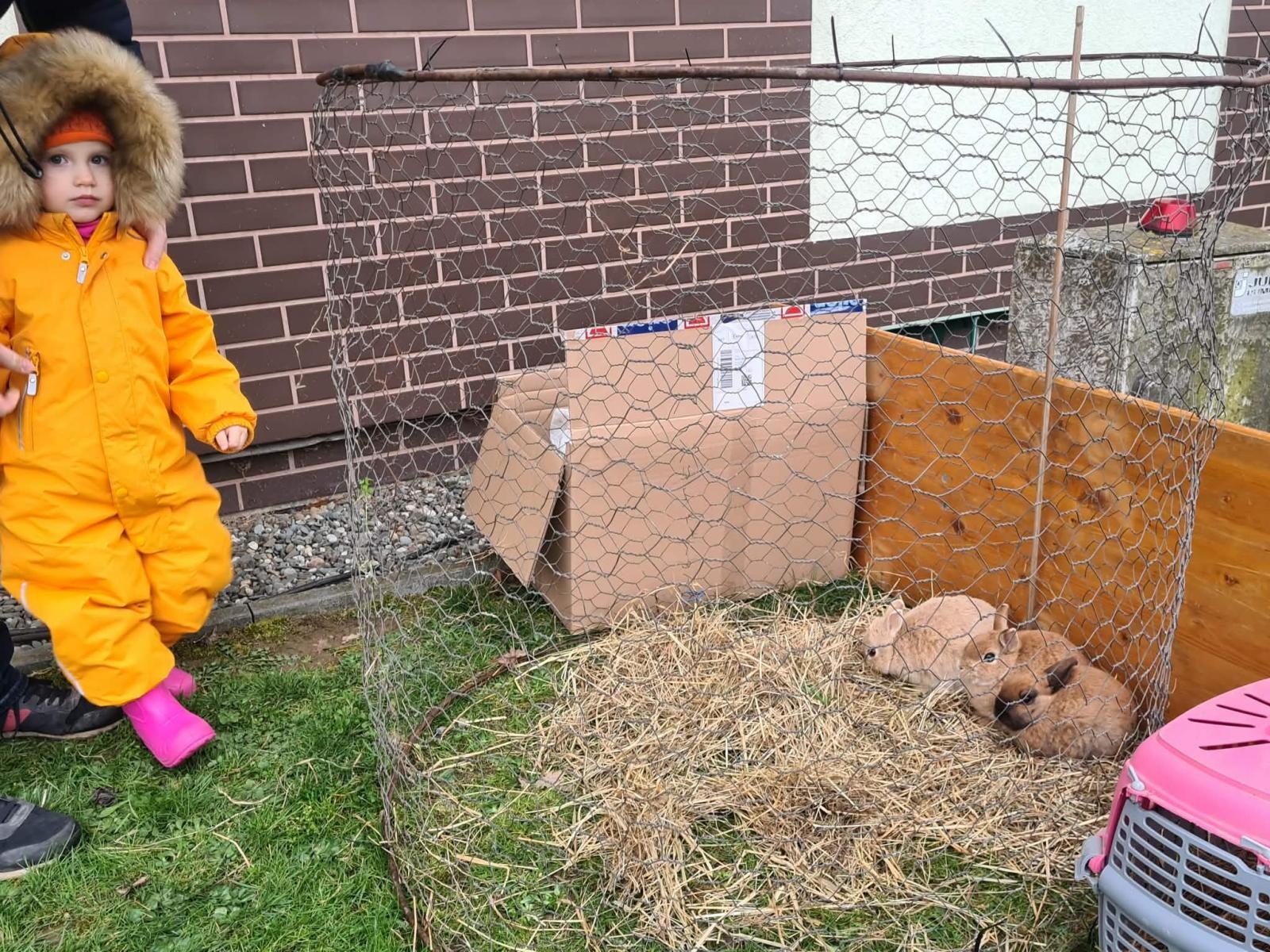 Zdjęcie w galerii na portalu naszwodzislaw.com: Hazok znów przyciągnął tłumy. Ponad setka dzieci ruszyła na poszukiwania zajączka [FOTO] wiadomości z regionu