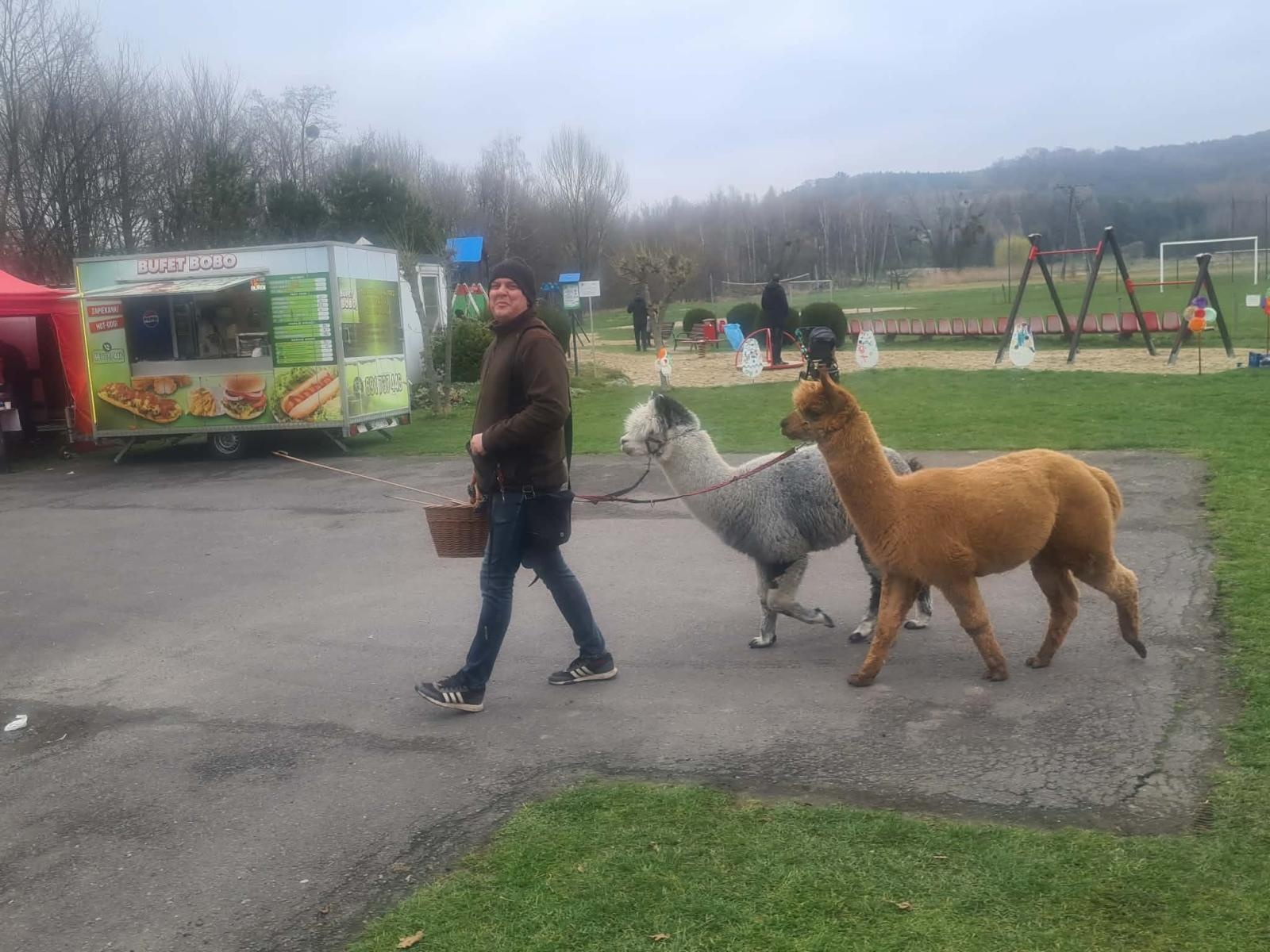 Zdjęcie w galerii na portalu naszwodzislaw.com: Hazok znów przyciągnął tłumy. Ponad setka dzieci ruszyła na poszukiwania zajączka [FOTO] wiadomości z regionu