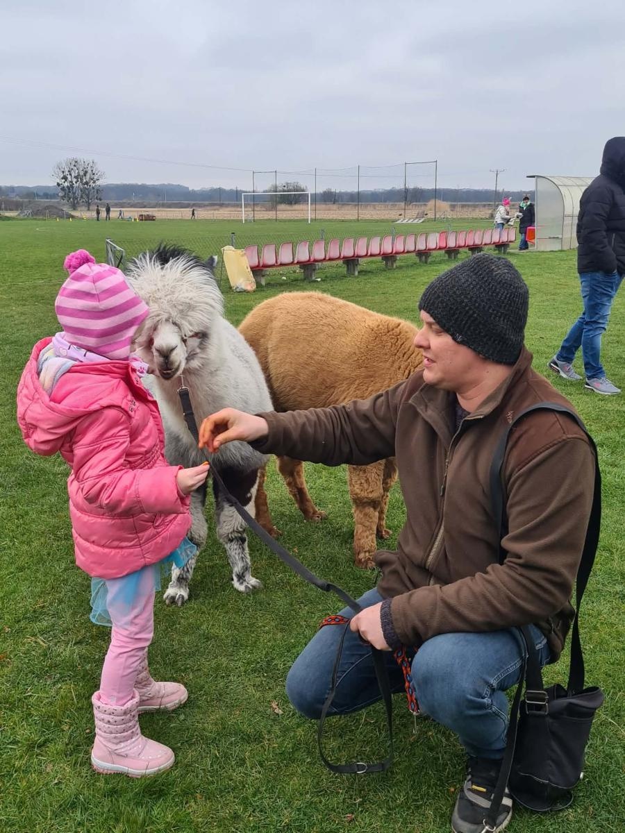 Zdjęcie w galerii na portalu naszwodzislaw.com: Hazok znów przyciągnął tłumy. Ponad setka dzieci ruszyła na poszukiwania zajączka [FOTO] wiadomości z regionu