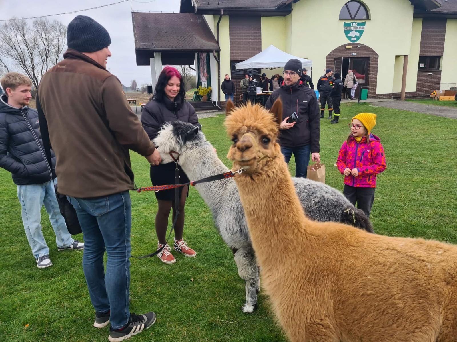Zdjęcie w galerii na portalu naszwodzislaw.com: Hazok znów przyciągnął tłumy. Ponad setka dzieci ruszyła na poszukiwania zajączka [FOTO] wiadomości z regionu