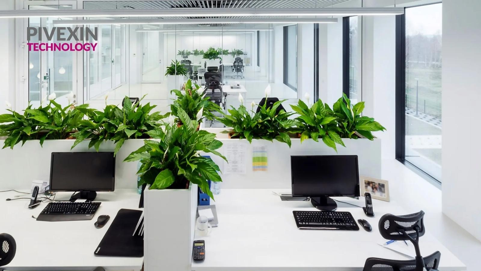 Zdjęcie w galerii na portalu naszwodzislaw.com: Nowa praca, nowe możliwości. Dołącz do PIVEXIN TECHNOLOGY!  wiadomości z regionu