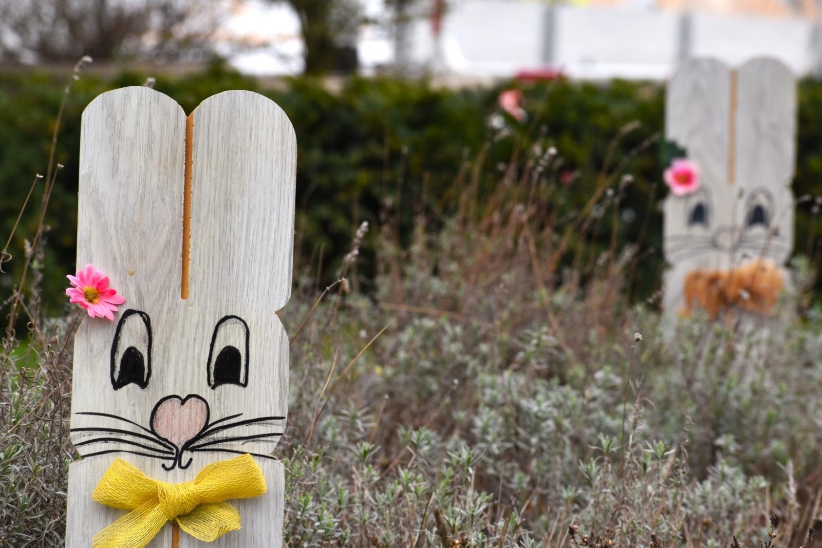 Zdjęcie w galerii na portalu naszwodzislaw.com: Zając, który połączył powiat. Niezwykła inicjatywa przed Starostwem w Wodzisławiu [FOTO] wiadomości z regionu