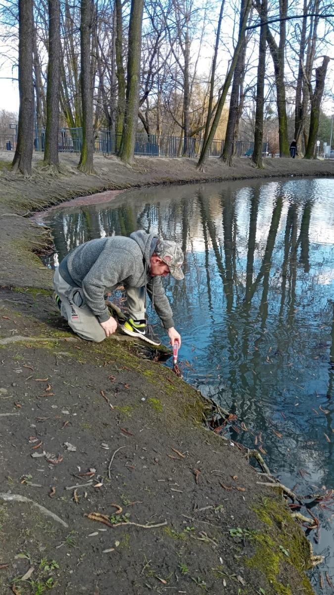 Zdjęcie w galerii na portalu naszwodzislaw.com: Śnięte ryby i fetor w parku miejskim. Radny interweniuje, miasto odpowiada wiadomości z regionu