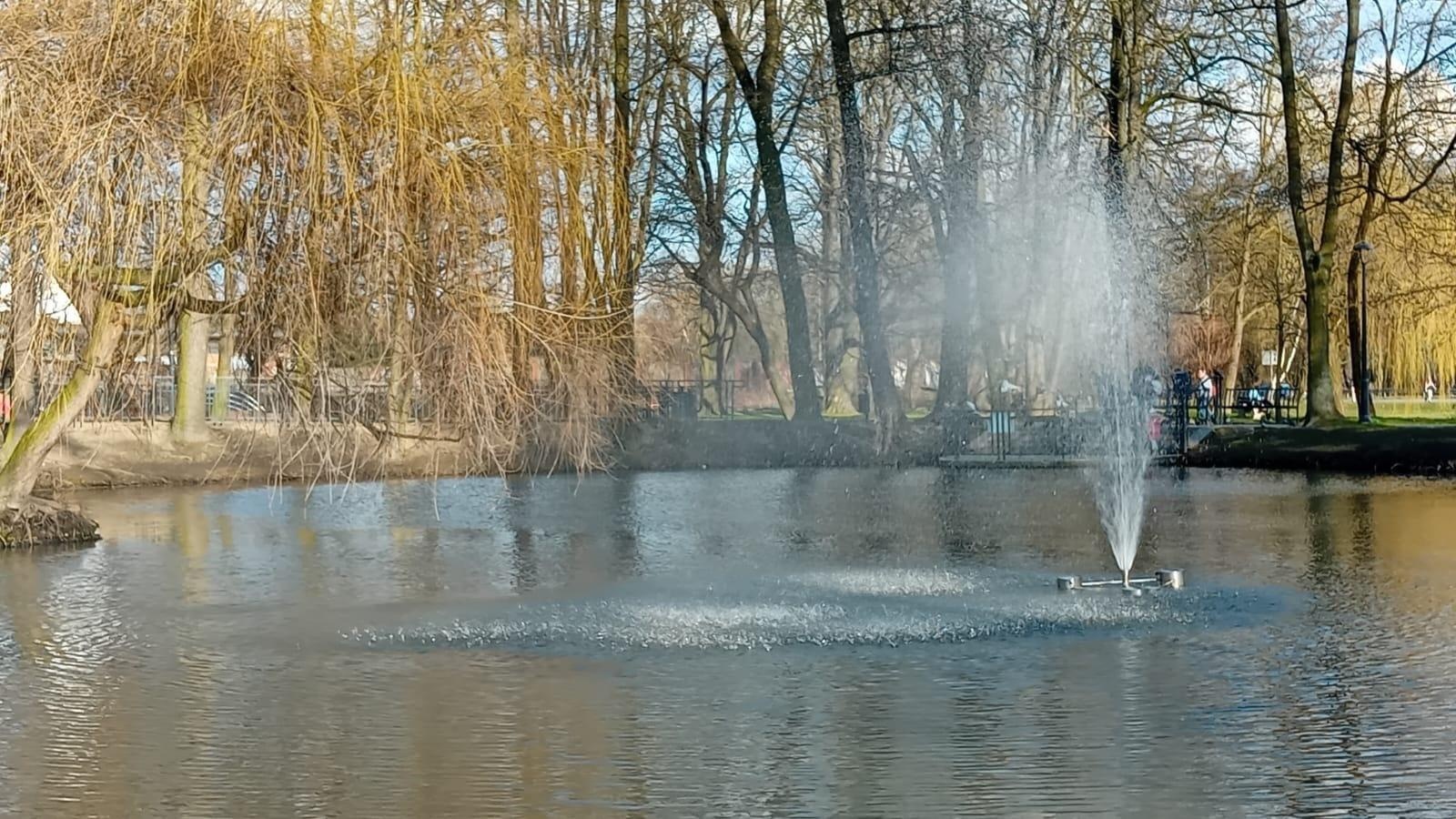 Zdjęcie w galerii na portalu naszwodzislaw.com: Śnięte ryby i fetor w parku miejskim. Radny interweniuje, miasto odpowiada wiadomości z regionu