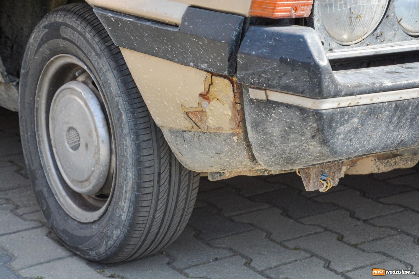 Zdjęcie w galerii na portalu naszwodzislaw.com: Z Tajlandii do Chałupek: Kultowe Fiaty i Polonez tłumnie powitane w ojczyźnie [FOTO i WIDEO] wiadomości z regionu