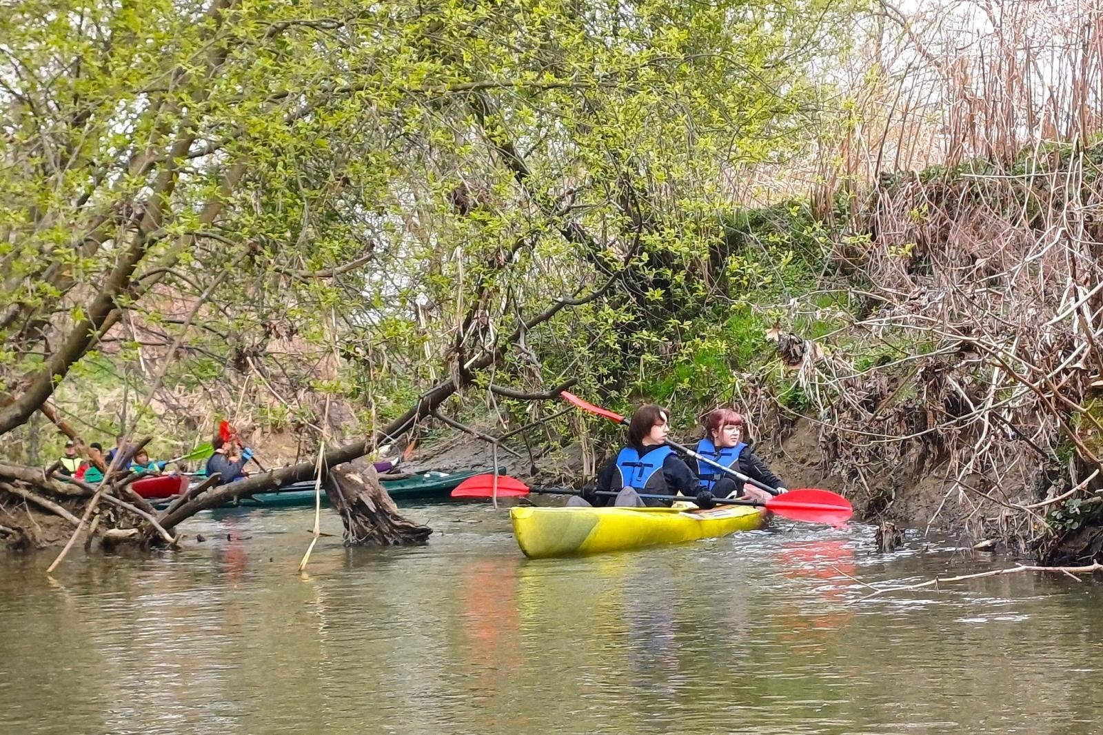 Zdjęcie w galerii na portalu naszwodzislaw.com: Magiel, odkurzacz i dziesiątki butelek. Szokujące znaleziska w Piotrówce wiadomości z regionu