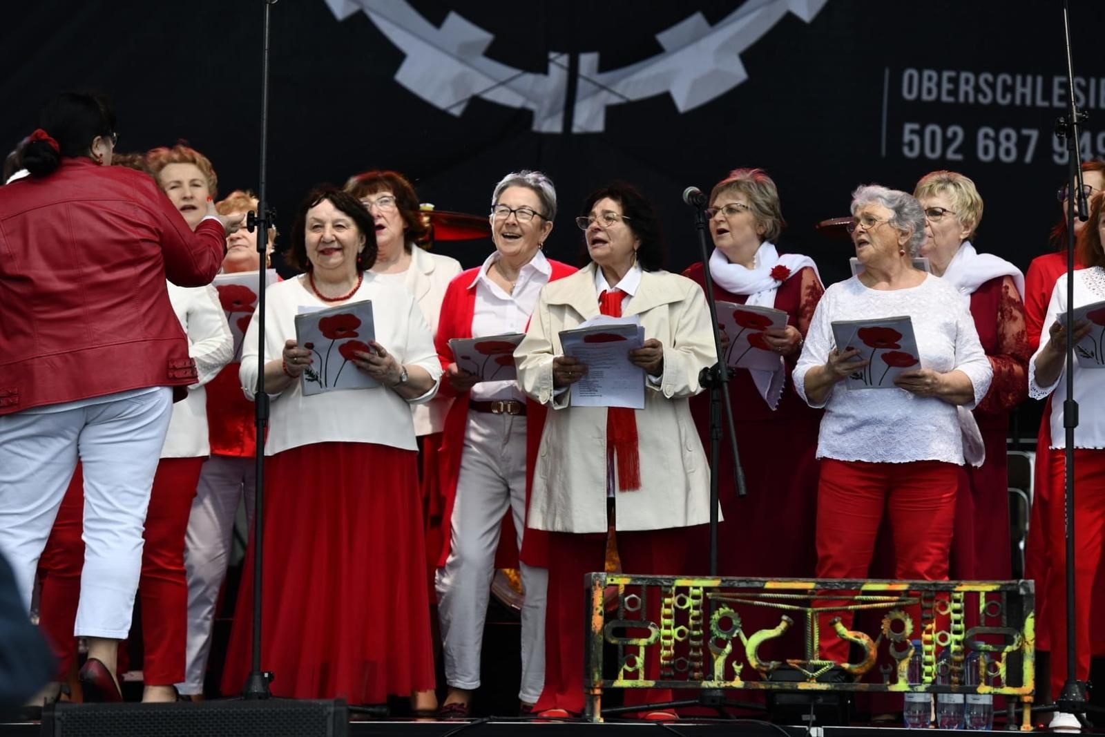 Zdjęcie w galerii na portalu naszwodzislaw.com: Piknik Na Pograniczu już za nami. Działo się! wiadomości z regionu