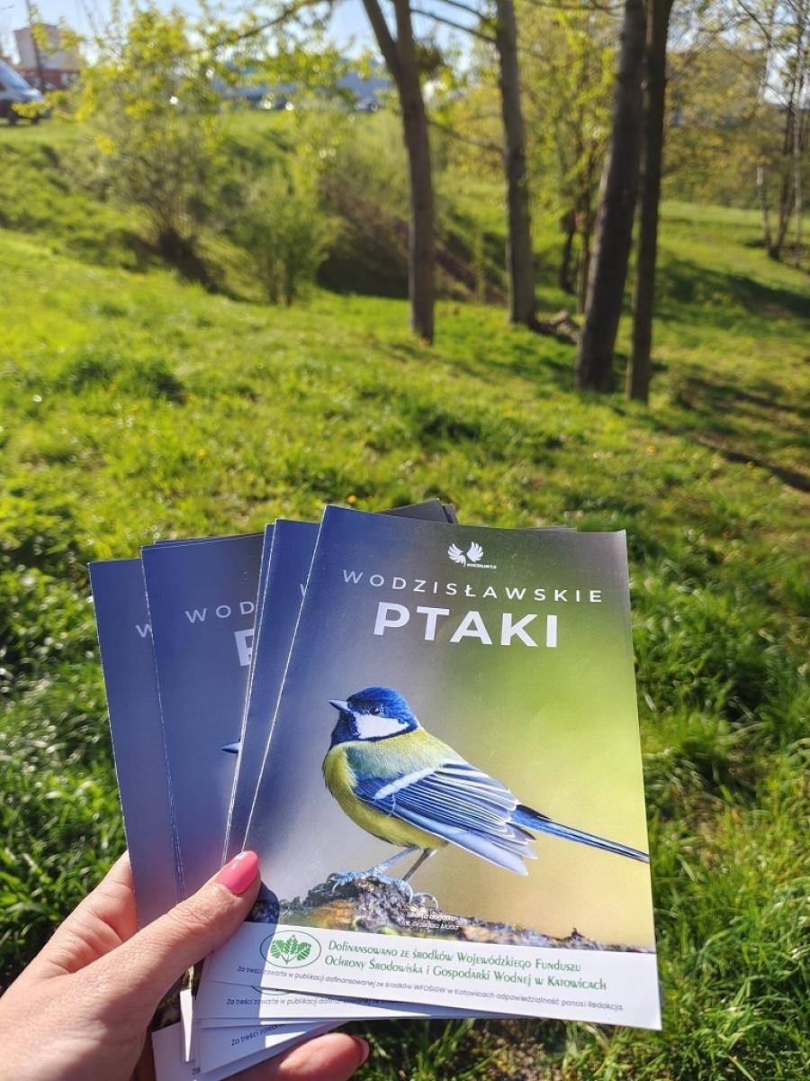Zdjęcie w galerii na portalu naszwodzislaw.com: Wodzisław 2.0 działa dla przyrody. Budki lęgowe w kolejnych lokalizacjach wiadomości z regionu